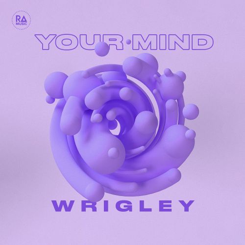 Wrigley - Your Mind (Extended Mix).mp3