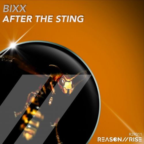 BiXX - After The Sting (Extended Mix).mp3