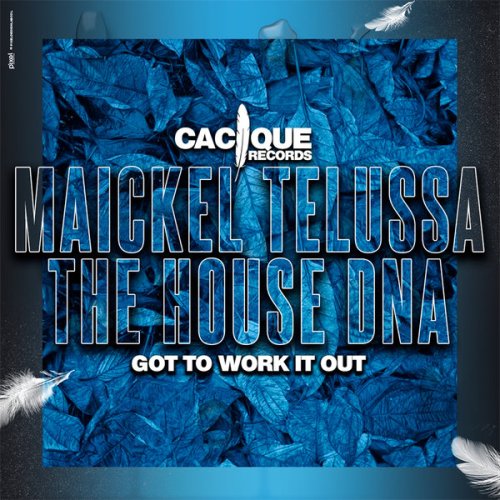 Maickel Telussa & The House Dna - Got To Work It Out (Original Mix) [2022]