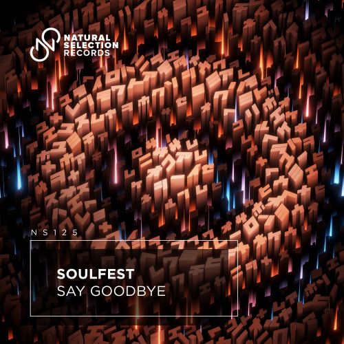 Soulfest - Say Goodbye (Radio Edit).mp3