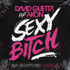 David Guetta Feat Akon - Sexy Bitch (DJ Safiter Remix) [2022]