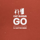 Cat Burns - Go (DJ Safiter Remix) [2022]