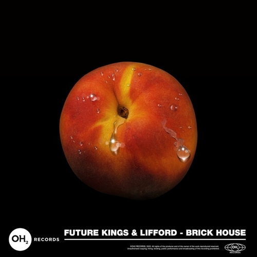 Future Kings & Lifford - Brick House; Noizu - Moon Groove (Extended Mix's) [2022]