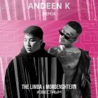 The Limba x Morgenshtern - Известным (Andeen K Remix) [2022]