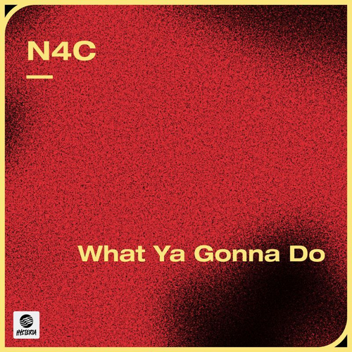 N4c - What Ya Gonna Do (Extended Mix) [2022]