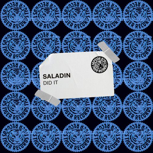 SALADIN - Did It (Original Mix) [Tiger Records].mp3
