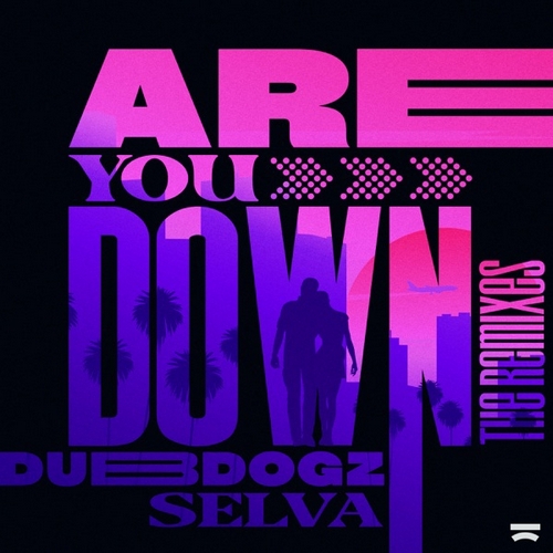 Dubdogz x Selva - Are You Down (Suark Extended Remix).mp3