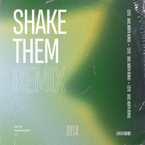 Estie - Shake Them (Axel North Extended Remix) [Dusk].mp3
