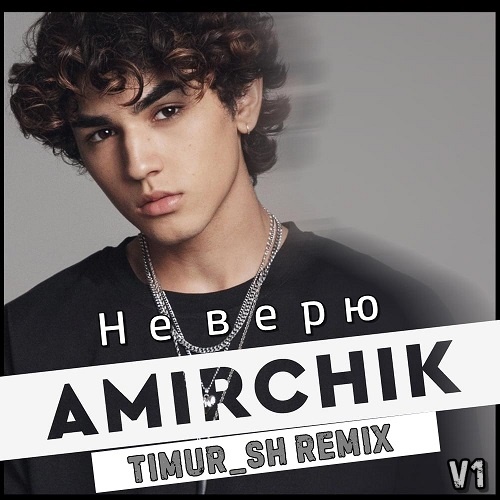 Amirchik -   (Timur_SH Remix).mp3