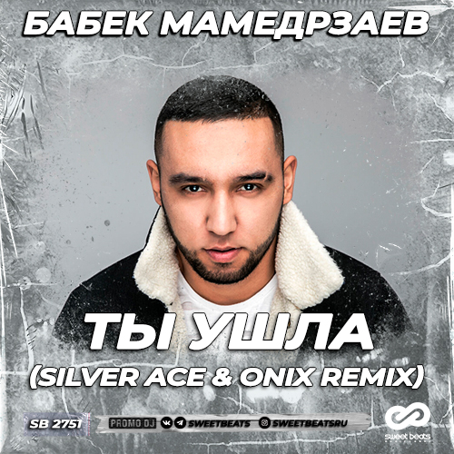   -   (Silver Ace & Onix Remix) [2022]