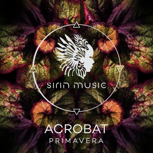 Acrobat - Brizo (Original Mix).mp3