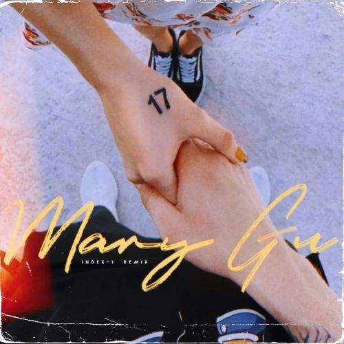 Mary Gu - 17 (Index-1 Remix) [2023]