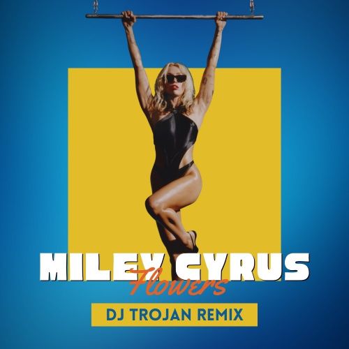 Miley Cyrus - Flowers (DJ Trojan Remix).mp3