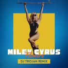 Miley Cyrus - Flowers (DJ Trojan Remix) [2023]