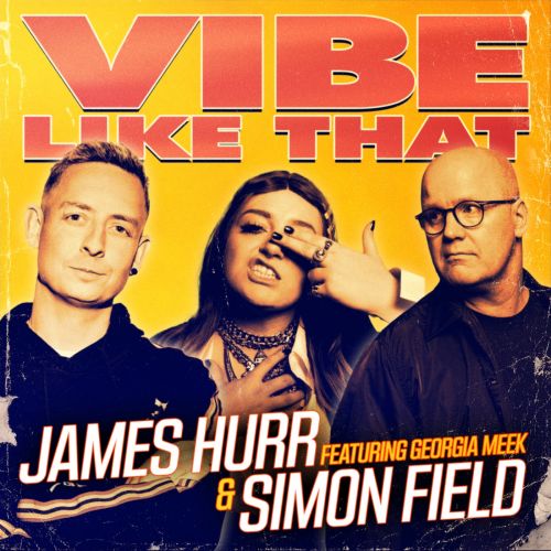 James Hurr & Simon Field Feat. Georgia Meek - Vibe Like (Extended Mix).mp3