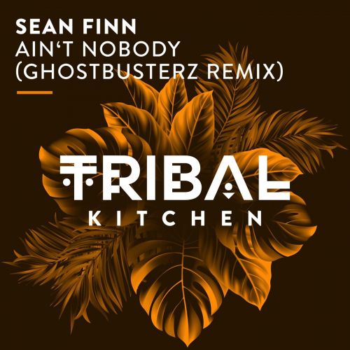 Sean Finn - Ain't Nobody (Ghostbusterz Euro Extended Remix).mp3