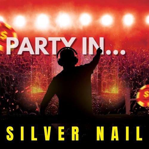 Silver Nail - PARTY IN...(Radio edit).mp3