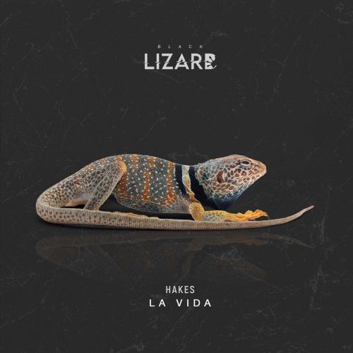 Hakes - La Vida (Extended Mix) [Black Lizard].mp3