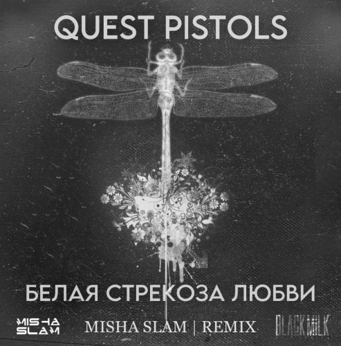 Quest Pistols -    (Misha Slam remix).mp3