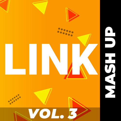 Dj Link - Mash Up Pack Vol.3 [2023]