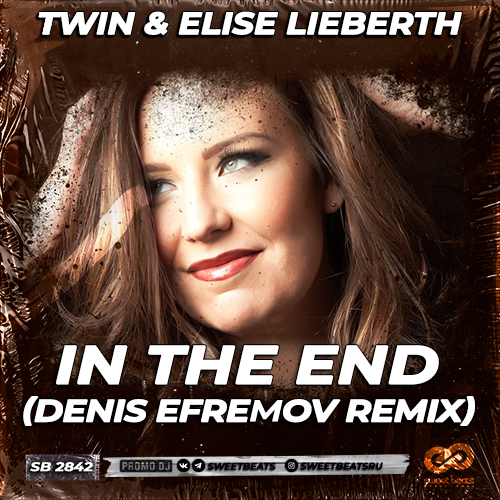 Twin & Elise Lieberth - In The End (Denis Efremov Remix) [2023]