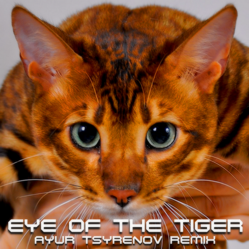 Survivor - Eye Of The Tiger (Ayur Tsyrenov Remix) [2023]