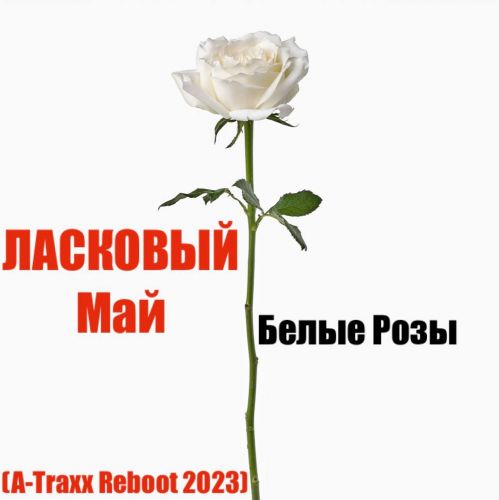 Ласковый Май - Белые розы (A-Traxx Reboot) [2023]