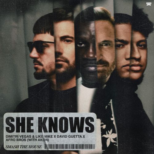 Dimitri Vegas & Like Mike & David Guetta & Afro Bros with Akon - She Knows (Extended Mix).mp3