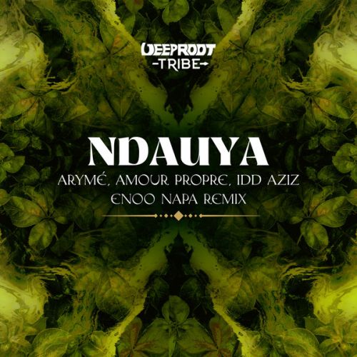 Aryme & Amour Propre Feat. Idd Aziz - Ndauya (Enoo Napa Extended Remix) [2022]