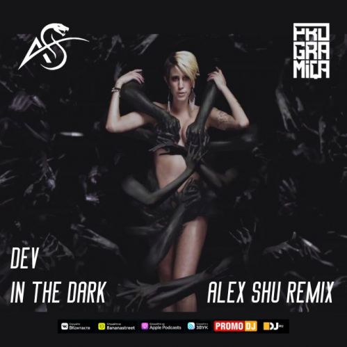 Dev - In The Dark (Alex Shu Remix) [2023]
