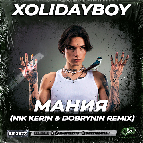 Xolidayboy -  (Nik Kerin & Dobrynin Remix) [2023]