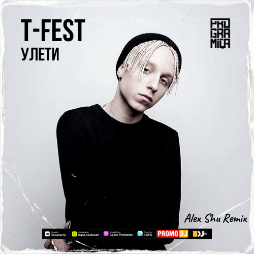 T-Fest - Улети (Alex Shu Remix) [2023]