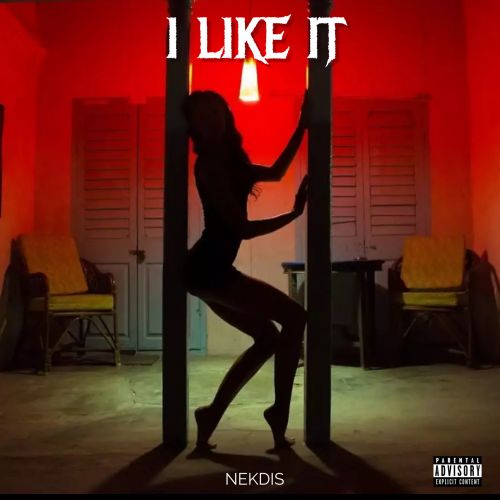 Nekdis - I Like It [2023]