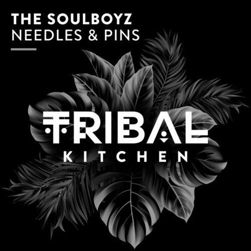 The Soulboyz - Needles & Pins (Extended Mix).mp3
