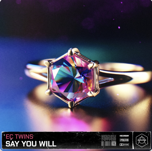 EC TWINS - SAY YOU WILL (Extended Mix) [HEXAGON].mp3