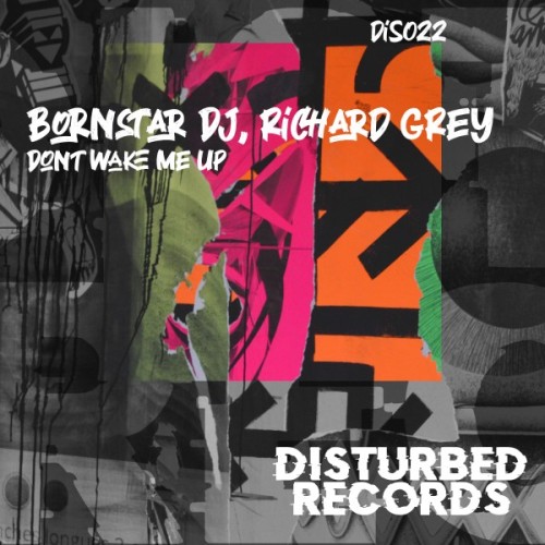 BornStar DJ, Richard Grey - Dont Wake Me Up (Original Mix).mp3