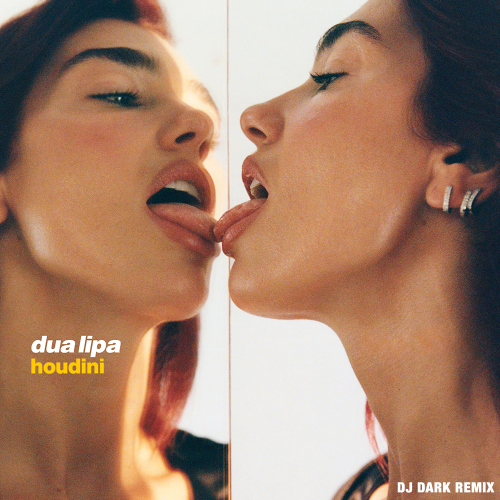Dua Lipa - Houdini (Dj Dark Remix) [Extended].mp3