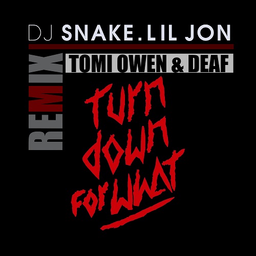 Lil Jon, DJ Snake - Turn Down For What (Tomi Owen & Deaf Remix) [2023]