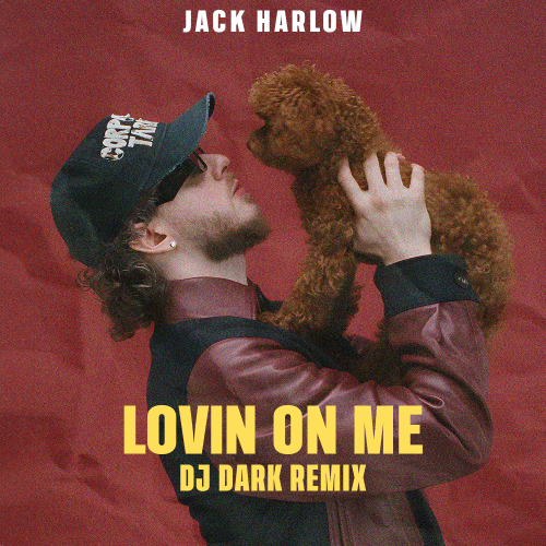 Jack Harlow - Lovin On Me (Dj Dark Remix) [Extended].mp3