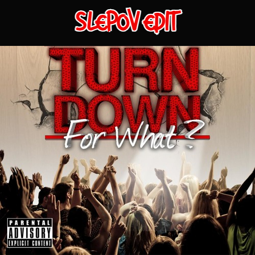 DJ Snake feat Lil Jon - Turn Down For What (Slepov Edit).mp3
