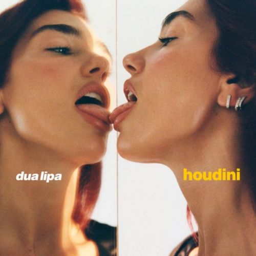 Dua Lipa - Houdini (Danny L Harle Slowride Mix).mp3