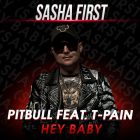 Pitbull feat. T-Pain - Hey Baby (Sasha First Remix) [2024]