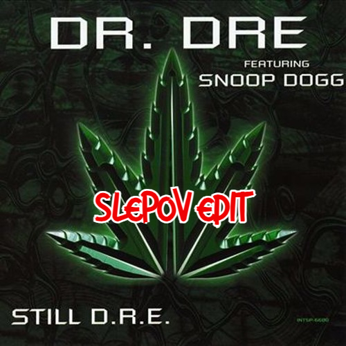 Dr. Dre & Snoop Dogg - Still D.R.E. (Slepov Edit).mp3