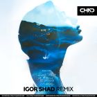 ˸ , 5 -        (Igor Shad Remix) [2024]