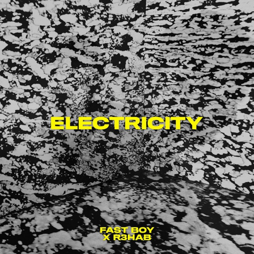 Fast Boy x R3hab - Electricity (Extended Mix) [2024]