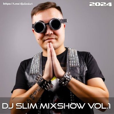 Pika & Megan Thee Stallion & Holsten - Party Maker (DJ Slim Mixshow) [2024].mp3