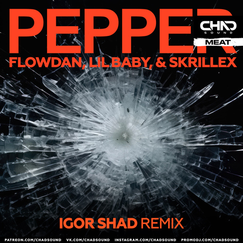Flowdan, Lil Baby, & Skrillex - Pepper (Igor Shad Radio Edit).mp3