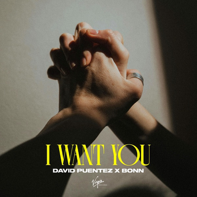 David Puentez & Bonn - I Want You; DJ S.K.T - Wait For Me (Extended Mix's) [2024]