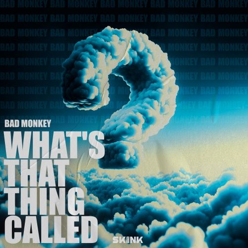 Bad Monkey - Whats That Thing Called (Extended Mix) [2024]