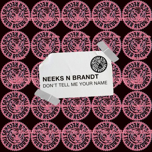 Neeks N Brandt - Don't Tell Me Your Name (Extended Mix) [2024]